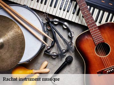 Rachat instrument musique  95840
